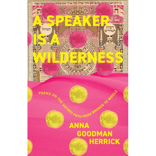 A Speaker Is a Wilderness: Poems on the Sacred Path from Broken to Whole - Paperback