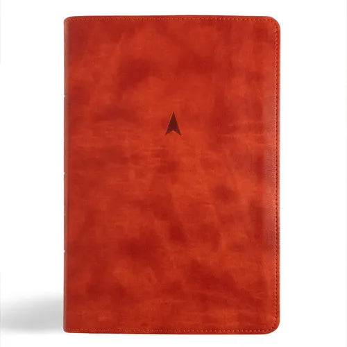 CSB Church Bible, Anglicised Edition, British Tan Leathertouch - Imitation Leather