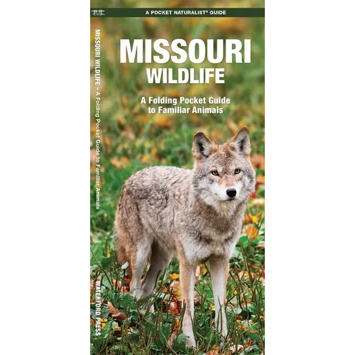Missouri Wildlife: A Folding Pocket Guide to Familiar Animals - Hardcover
