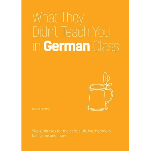 What They Didn't Teach You in German Class: Slang Phrases for the Cafe, Club, Bar, Bedroom, Ball Game and More - Paperback