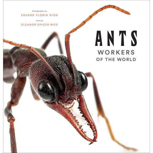 Ants: Workers of the World - Hardcover