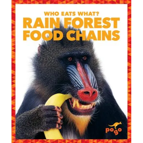 Rain Forest Food Chains - Hardcover