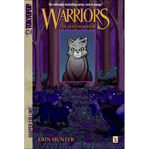 The Lost Warrior - Hardcover