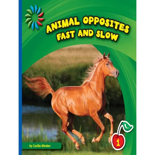 Fast and Slow - Paperback