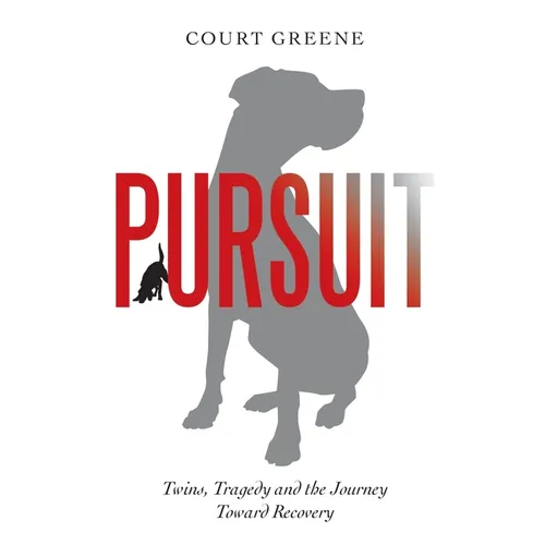 Pursuit: Twins, Tragedy and the Journey Toward Recovery - Paperback