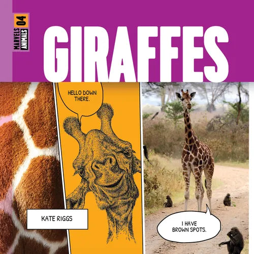 Giraffes - Hardcover
