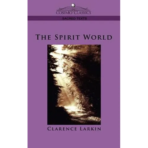 The Spirit World - Paperback