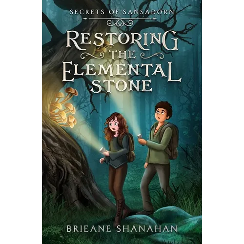 Restoring the Elemental Stone - Paperback