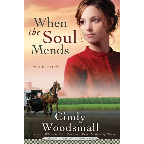 When the Soul Mends: Book 3 in the Sisters of the Quilt Amish Series - Paperback