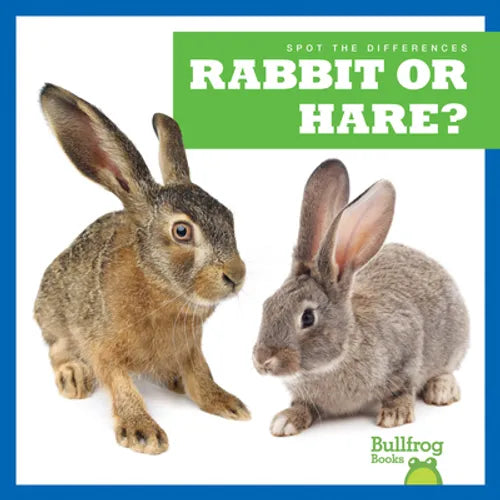 Rabbit or Hare? - Paperback