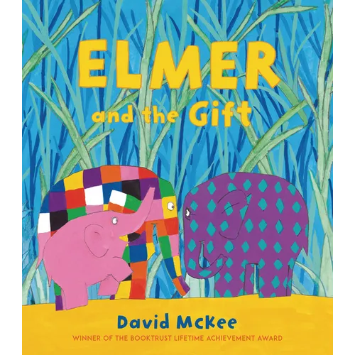 Elmer and the Gift - Hardcover