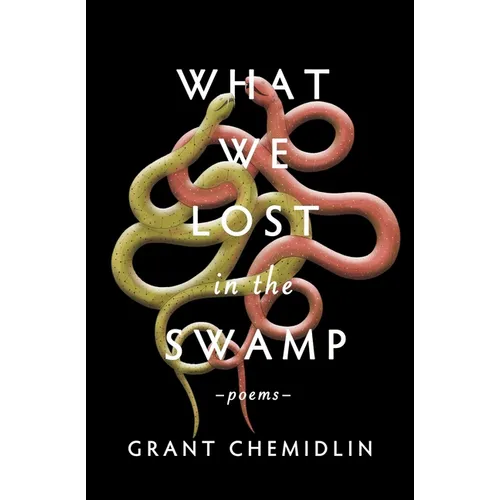 What We Lost in the Swamp: Poems - Paperback