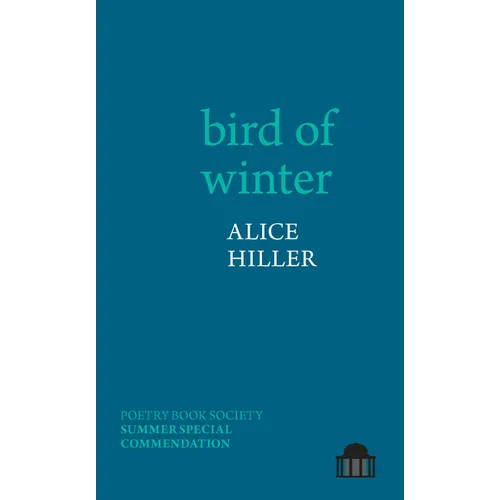 Bird of Winter - Paperback