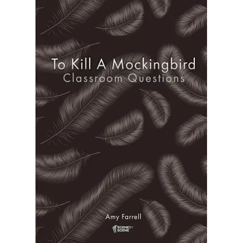 To Kill a Mockingbird Classroom Questions - Paperback