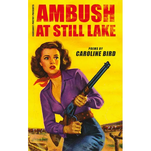 Ambush at Still Lake - Paperback