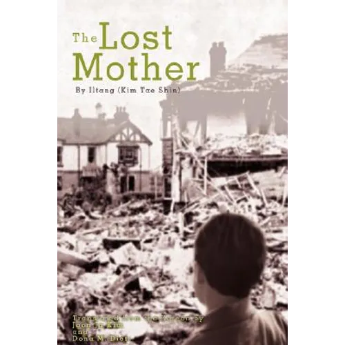The Lost Mother - Hardcover