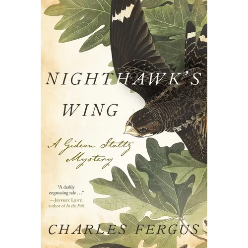Nighthawk's Wing: A Gideon Stoltz Mystery - Hardcover