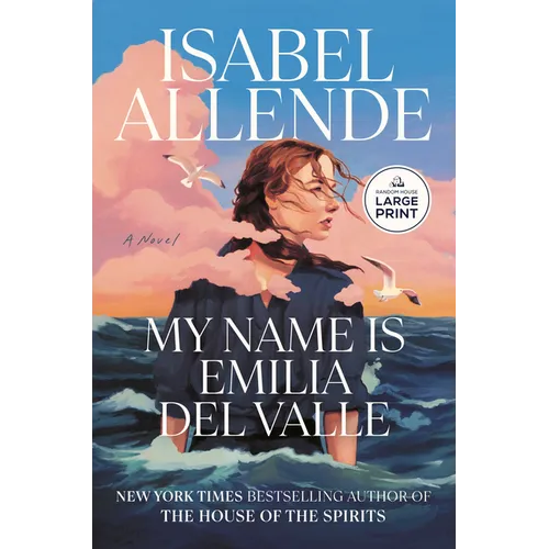 My Name Is Emilia del Valle - Paperback