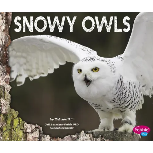 Snowy Owls - Paperback