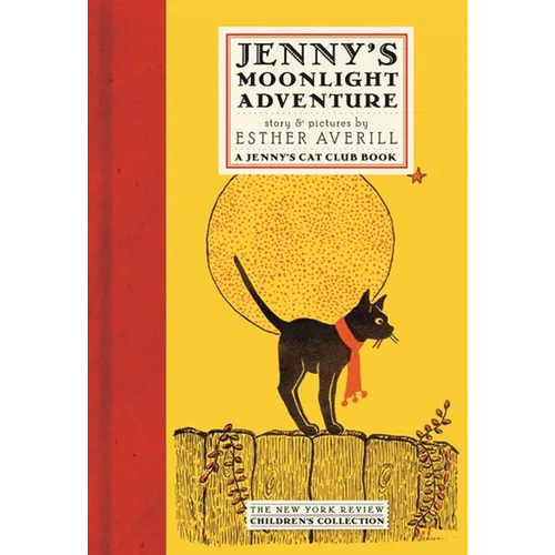 Jenny's Moonlight Adventure - Hardcover