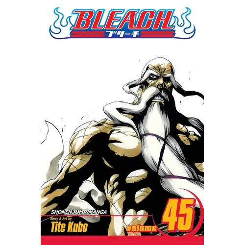 Bleach, Vol. 45 - Paperback