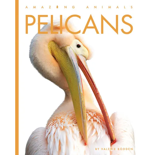 Pelicans - Library Binding