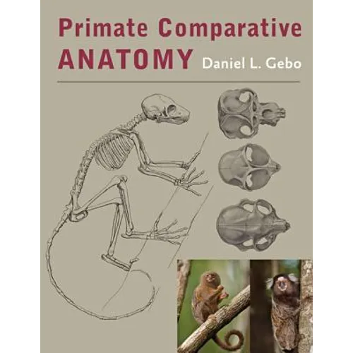 Primate Comparative Anatomy - Hardcover
