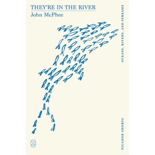 They're in the River (Picador Shorts) - Paperback