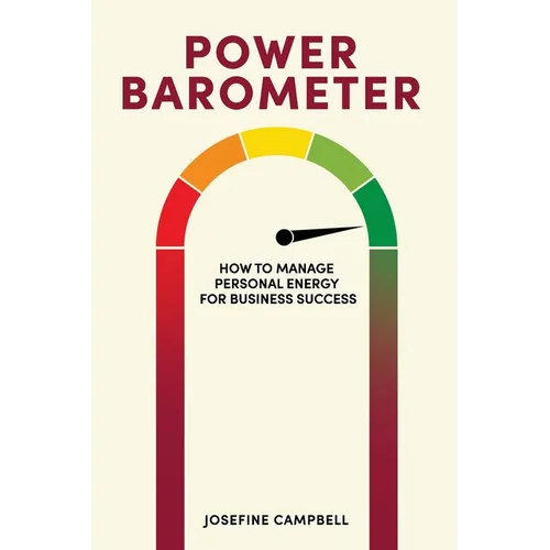 Power Barometer: How to Manage Personal Energy for Business Success - Paperback
