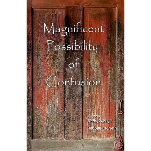 Magnificent Possibility of Confusion - Paperback