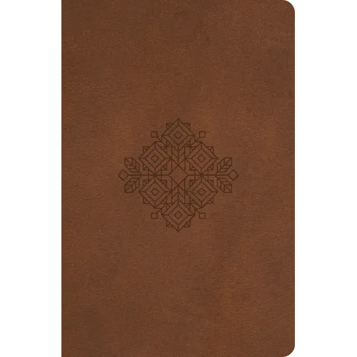 Truth for Life - Gift Edition (Volume 1): 365 Daily Devotions - Imitation Leather