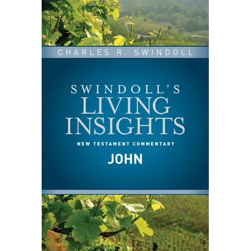 Insights on John - Hardcover