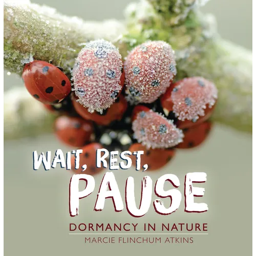 Wait, Rest, Pause: Dormancy in Nature - Paperback