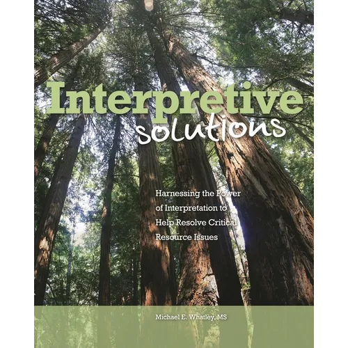 Interpretive Solutions - Paperback