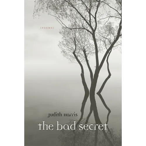 Bad Secret: Poems - Paperback