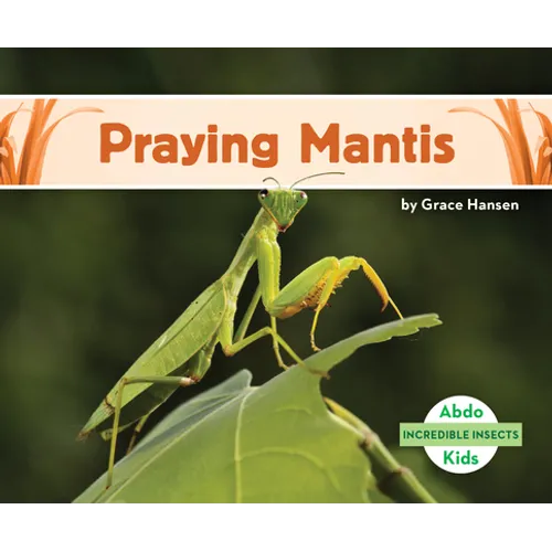 Praying Mantis - Library Binding