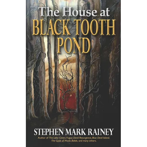 The House at Black Tooth Pond - Paperback