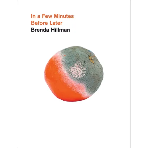 In a Few Minutes Before Later - Hardcover