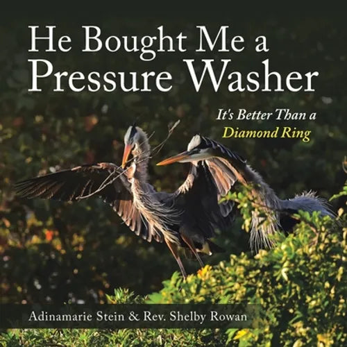 He Bought Me a Pressure Washer: It's Better Than a Diamond Ring - Paperback