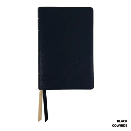 Legacy Standard Bible, Handy Size Paste-Down Black Cowhide Red Letter Indexed - Leather
