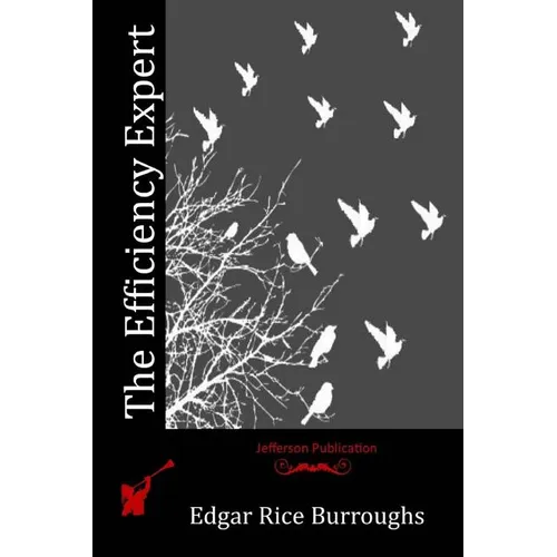 The Efficiency Expert - Paperback