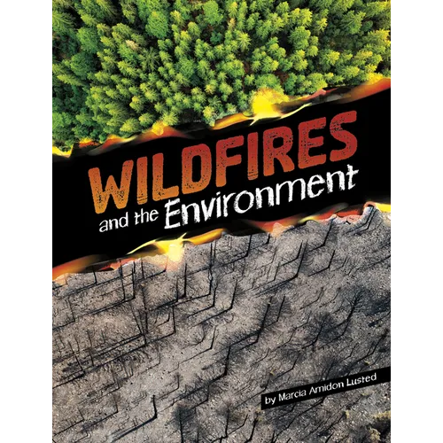 Wildfires and the Environment - Paperback