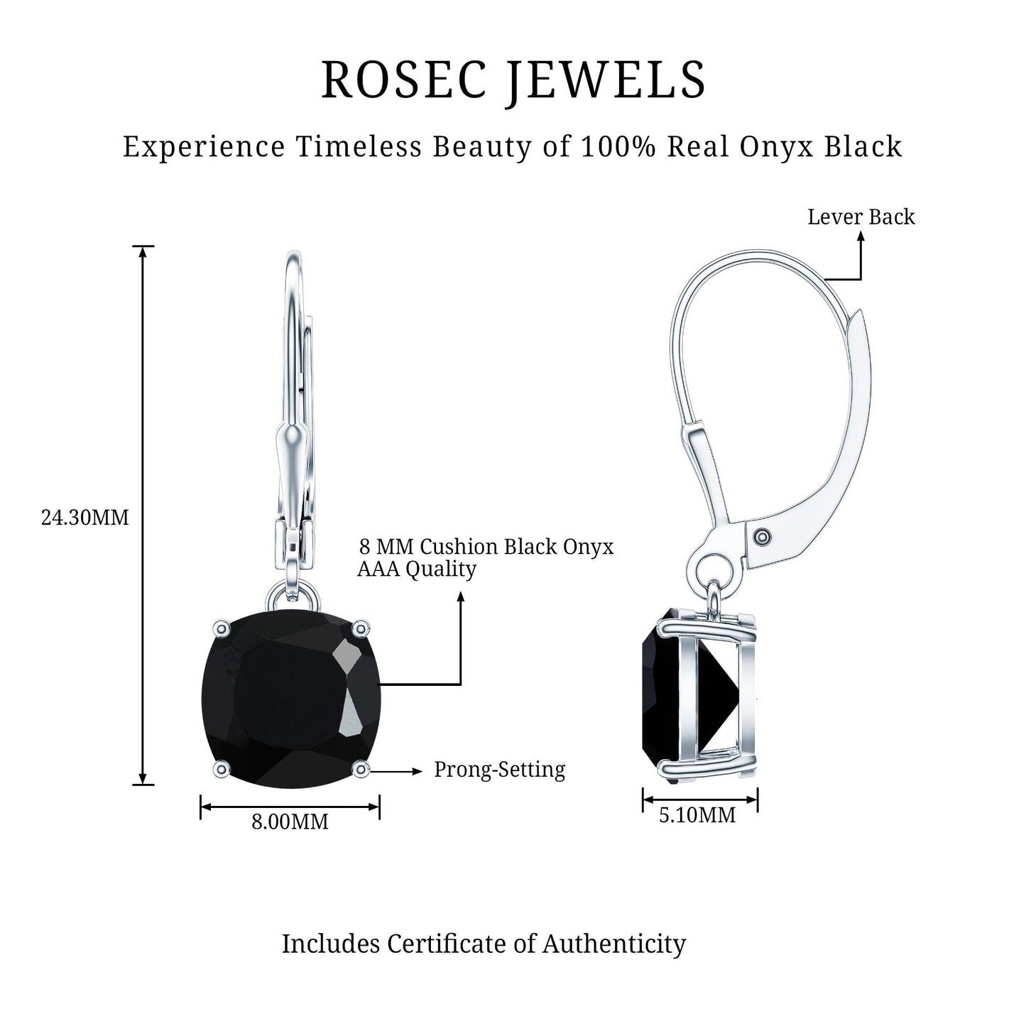 Black Onyx Solitaire Drop Lever Back Earrings