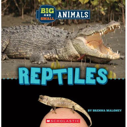 Reptiles (Wild World: Big and Small Animals) - Paperback