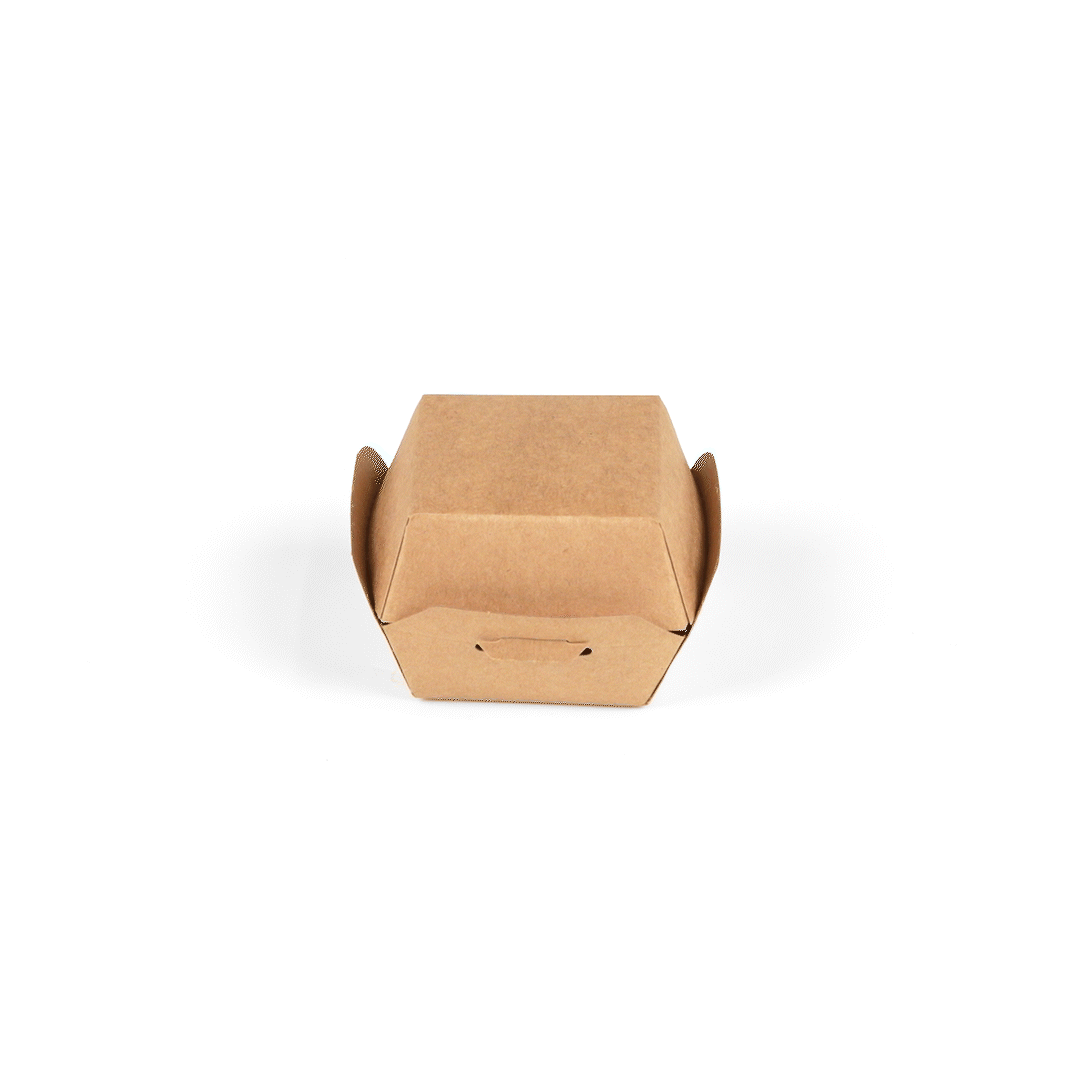 Bio Tek Kraft Paper Slider Box - 2 1/2" x 2 1/2" x 2" - 100 count box