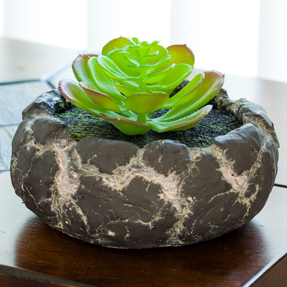 Plastic Table Art Faux Succulent Arrangement - Faux Volcanic Rock, Cement Planter - 6" x 6" x 4 1/2" - 1 count box