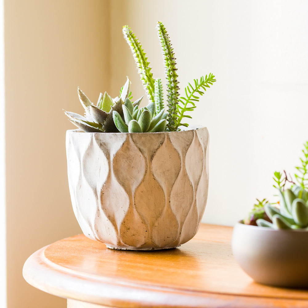 Plastic Table Art Faux Succulent Arrangement - Concrete Planter, Light Gray - 6" x 6" x 7 3/4" - 1 count box