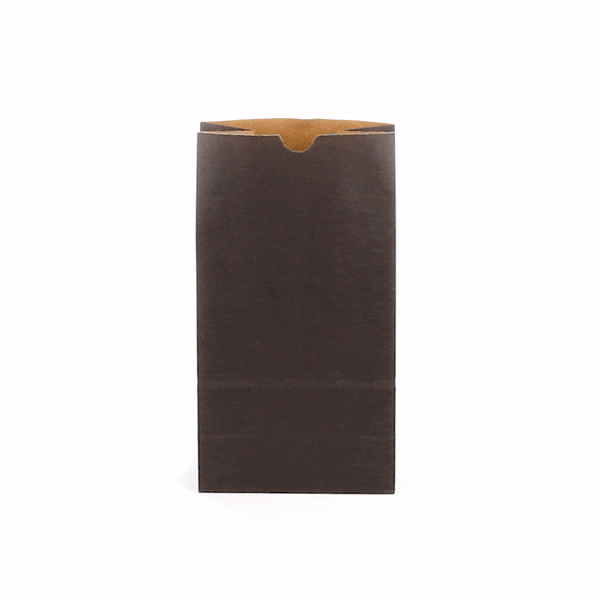 Bag Tek Black Paper Bag - 6 lb - 6" x 3 1/2" x 10 3/4" - 100 count box