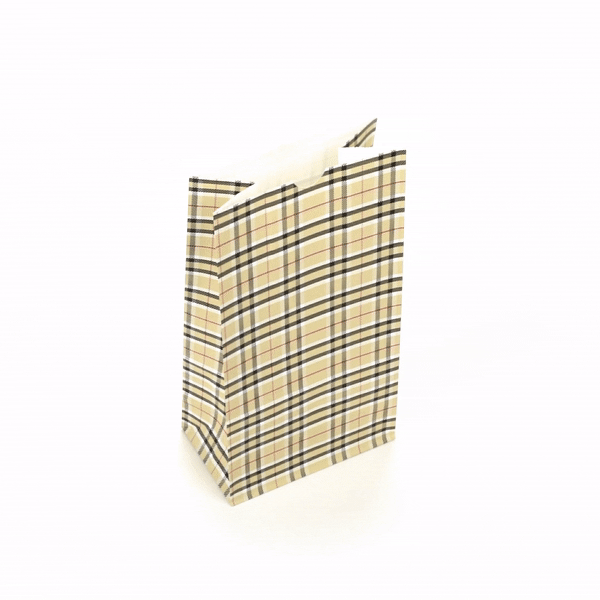 Bag Tek Plaid Paper Bag - 6 lb - 6" x 3 1/2" x 10 3/4" - 100 count box