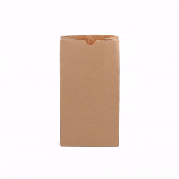 Bag Tek Kraft Paper Bag - 6 lb - 6" x 3 1/2" x 10 3/4" - 100 count box